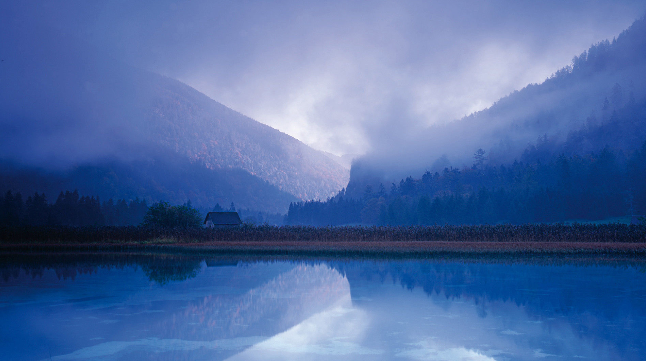 王毅同越南常务副总理郑州地铁复载客运营