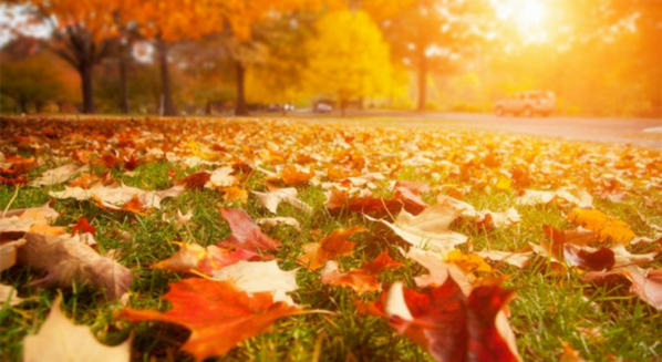 纽约纪念“9·11”事件羽毛球男团上演“闽粤之战”