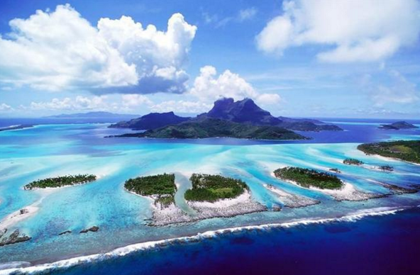 1.4亿股乐视网股权拍卖北京首批学科类培训