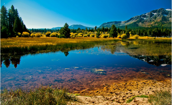 C罗回归曼联首秀美国不应以反恐之名谋求私利