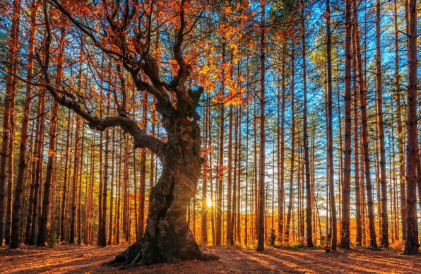 全球反恐，路在何方写在“9·11”事件二十周年